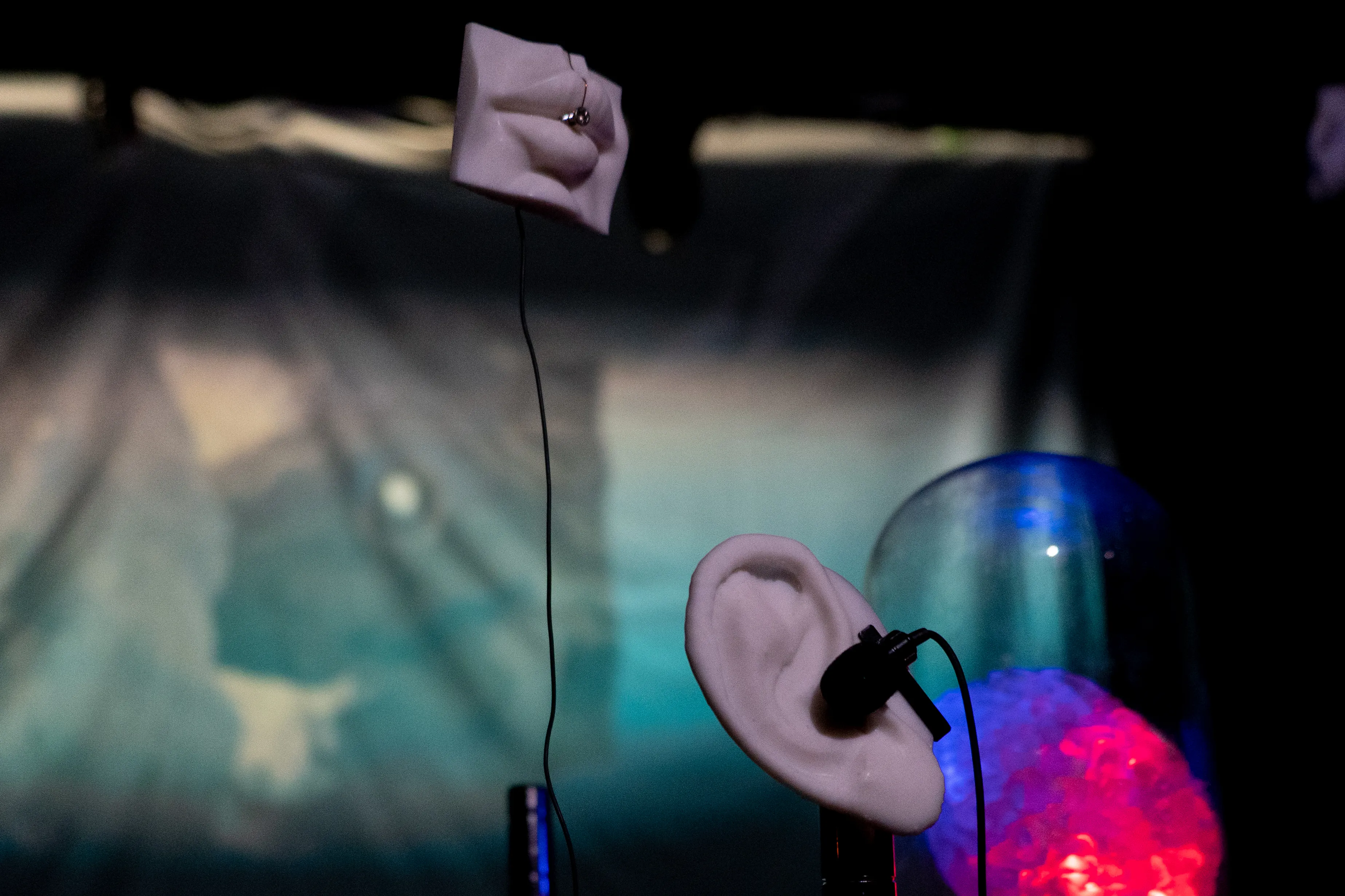 i dream Brain Visualization